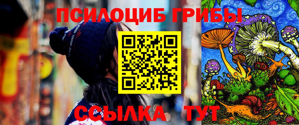 Кунгур  Псилоцибиновые грибы Magic Shrooms  Вход с VPN 